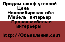 Продам шкаф угловой › Цена ­ 1 000 - Новосибирская обл. Мебель, интерьер » Прочая мебель и интерьеры   
